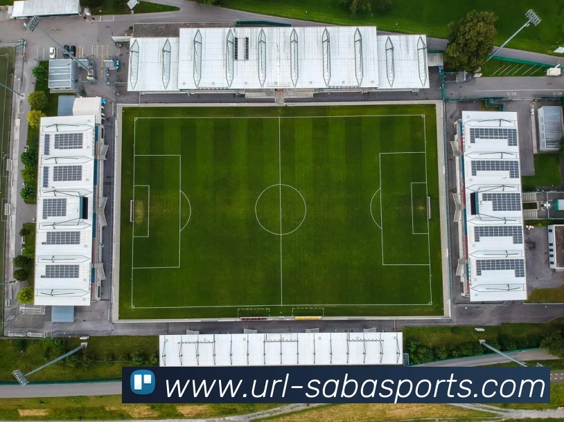 沙巴体育平台生态图