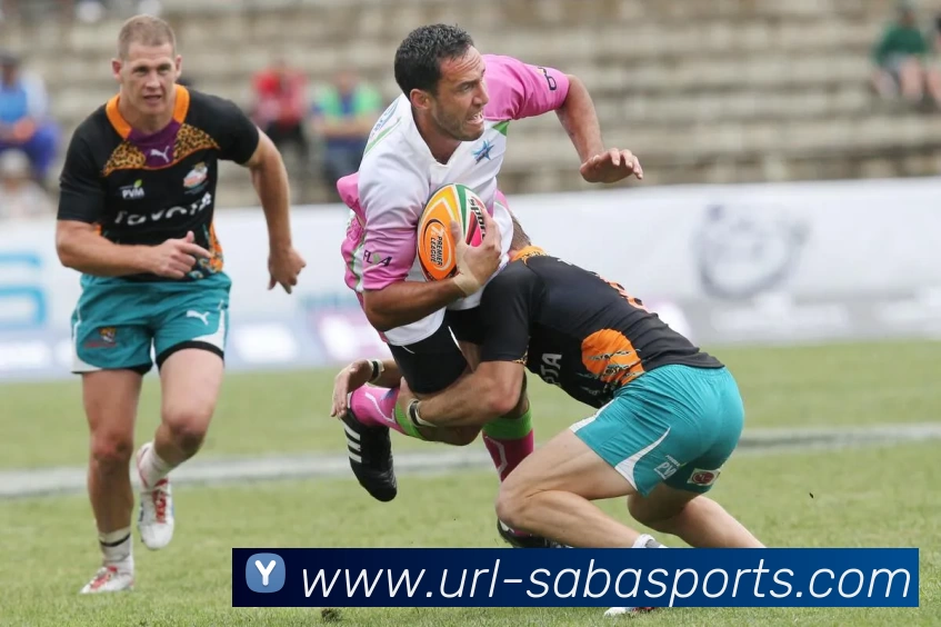 沙巴体育APP 封面图